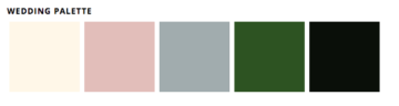 color palette