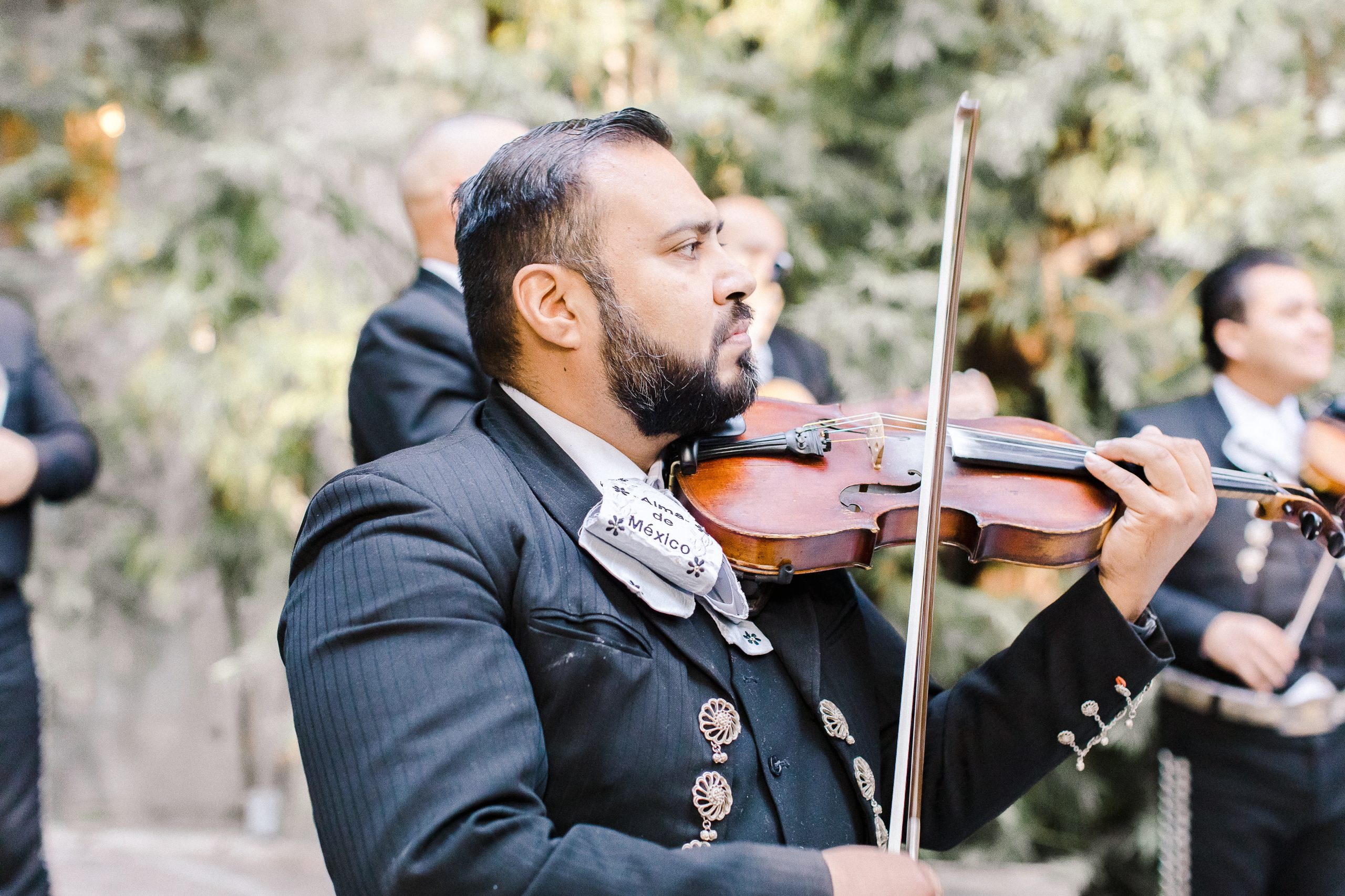 Violinist