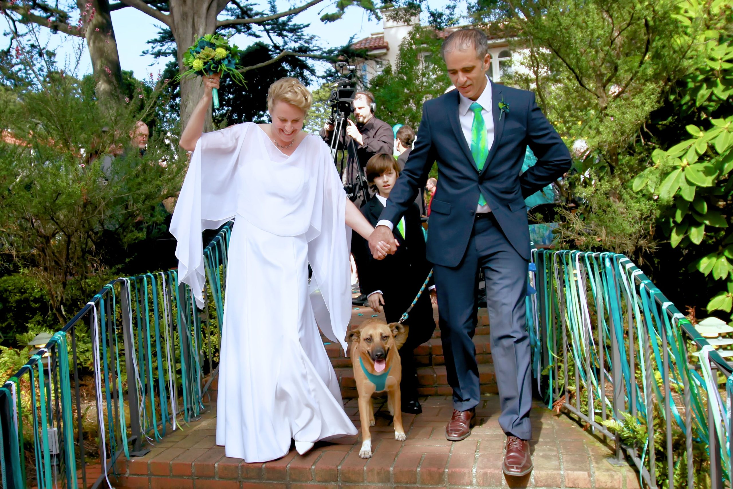 Dog Friendly Weddings